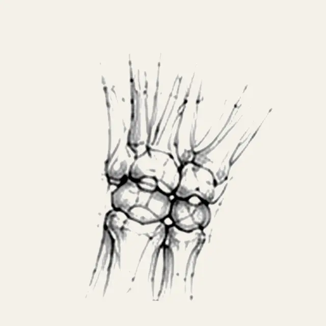 Lésion ligamentaire