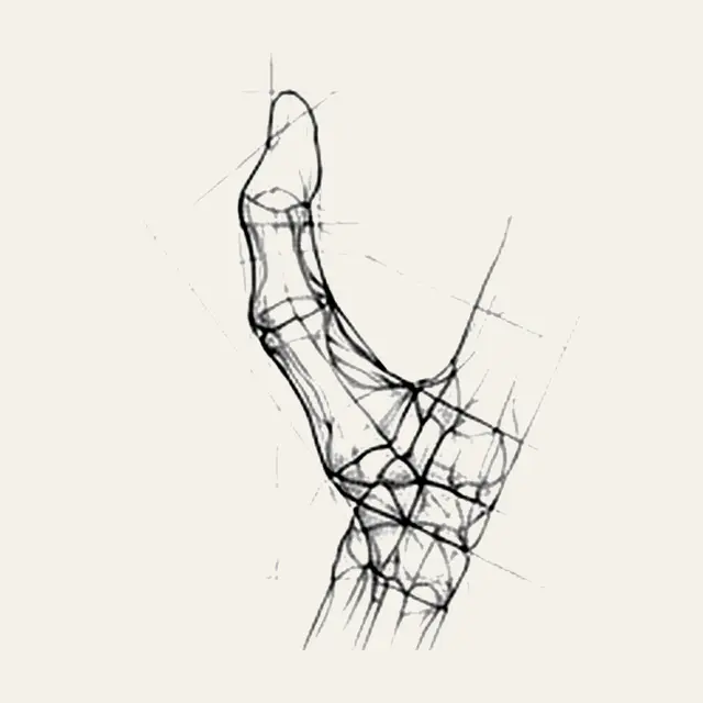 Rhizarthrose