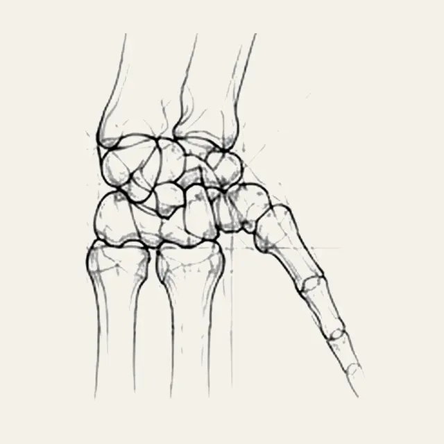 Traumatologie de la main